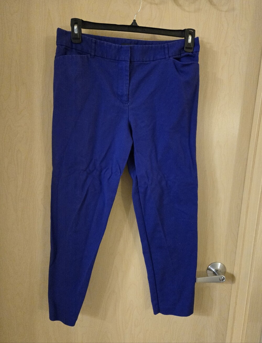 Liz Claiborne Career Blue Emma Classic Pants (12)
